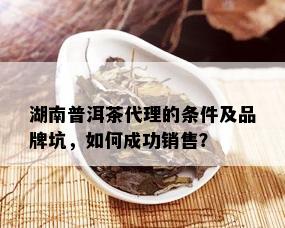 湖南普洱茶代理的条件及品牌坑，如何成功销售？