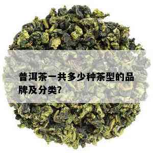 普洱茶一共多少种茶型的品牌及分类？