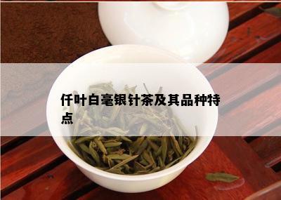 仟叶白毫银针茶及其品种特点