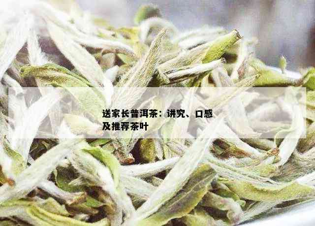 送家长普洱茶：讲究、口感及推荐茶叶