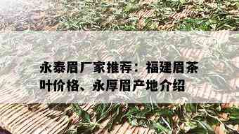 永泰眉厂家推荐：福建眉茶叶价格、永厚眉产地介绍