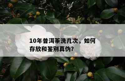 10年普洱茶洗几次，如何存放和鉴别真伪？