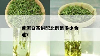 普洱白茶拼配比例是多少合适？