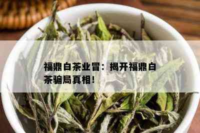 福鼎白茶业冒：揭开福鼎白茶骗局真相！