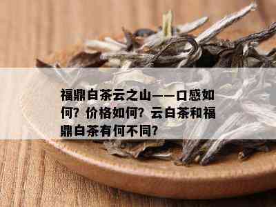 福鼎白茶云之山——口感如何？价格如何？云白茶和福鼎白茶有何不同？