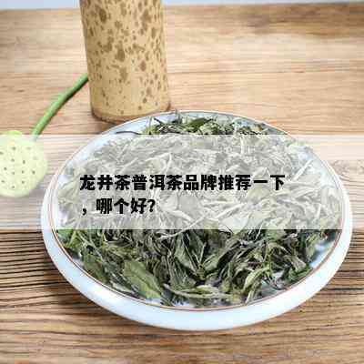 龙井茶普洱茶品牌推荐一下，哪个好？