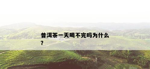 普洱茶一天喝不完吗为什么？