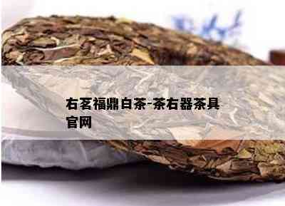 右茗福鼎白茶-茶右器茶具官网