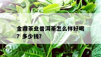 金鼎茶业普洱茶怎么样好喝？多少钱？