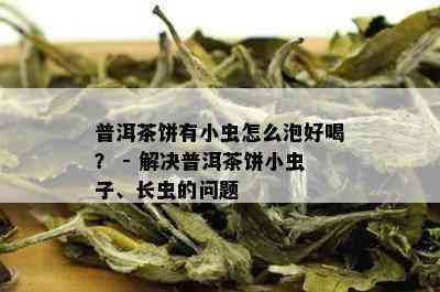 普洱茶饼有小虫怎么泡好喝？ - 解决普洱茶饼小虫子、长虫的问题