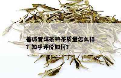 善诚普洱茶熟茶质量怎么样？知乎评价如何？