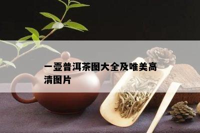 一壶普洱茶图大全及唯美高清图片