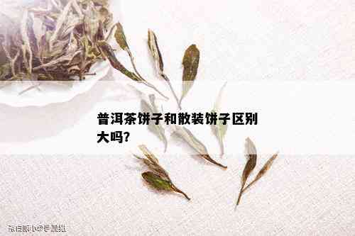 普洱茶饼子和散装饼子区别大吗？