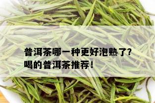 普洱茶哪一种更好泡熟了？喝的普洱茶推荐！