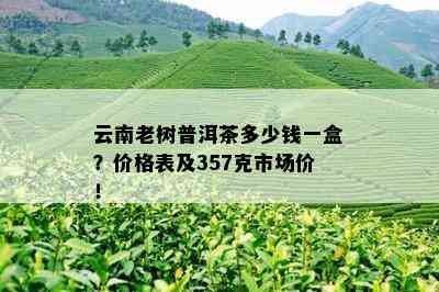 云南老树普洱茶多少钱一盒？价格表及357克市场价！