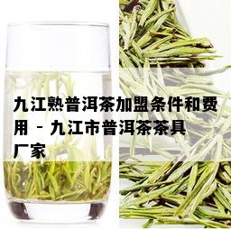 九江熟普洱茶加盟条件和费用 - 九江市普洱茶茶具厂家