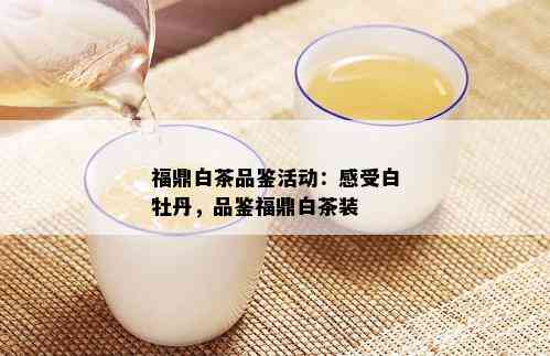 福鼎白茶品鉴活动：感受白牡丹，品鉴福鼎白茶装