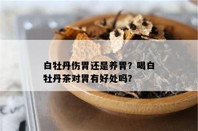 白牡丹伤胃还是养胃？喝白牡丹茶对胃有好处吗？