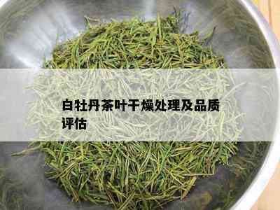 白牡丹茶叶干燥处理及品质评估