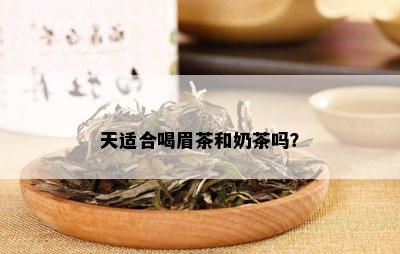 天适合喝眉茶和奶茶吗？