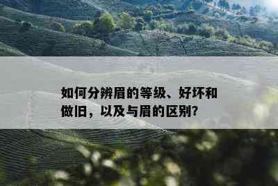 如何分辨眉的等级、好坏和做旧，以及与眉的区别？