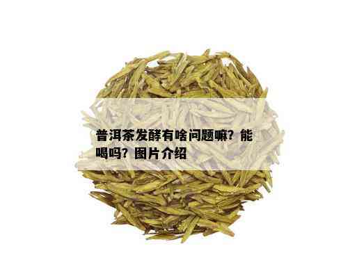 普洱茶发酵有啥问题嘛？能喝吗？图片介绍