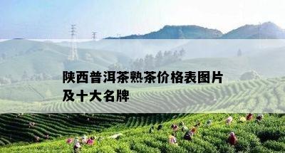 陕西普洱茶熟茶价格表图片及十大名牌