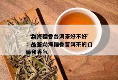 ‘勐海糯香普洱茶好不好’：品鉴勐海糯香普洱茶的口感和香气