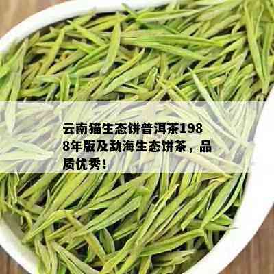 云南猫生态饼普洱茶1988年版及勐海生态饼茶，品质优秀！