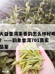 大益普洱茶香韵怎么样好喝？——韵象普洱701真实品鉴