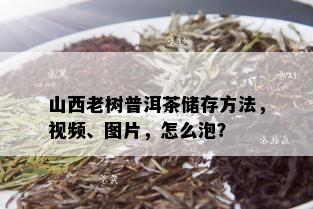 山西老树普洱茶储存方法，视频、图片，怎么泡？