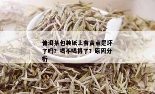 普洱茶包装纸上有黄点是坏了吗？喝不喝得了？原因分析