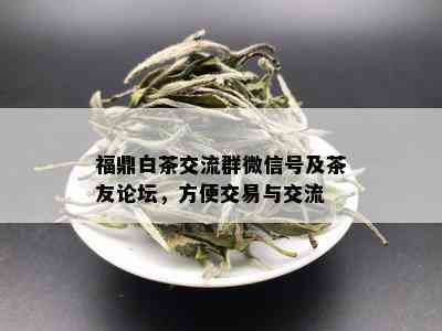 福鼎白茶交流群微信号及茶友论坛，方便交易与交流