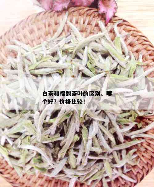 白茶和福鼎茶叶的区别、哪个好？价格比较！