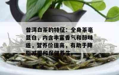 普洱白茶的特征：全身茶毫显白，内含丰富香气和醇味道，营养价值高，有助于降脂减肥和保健养生。