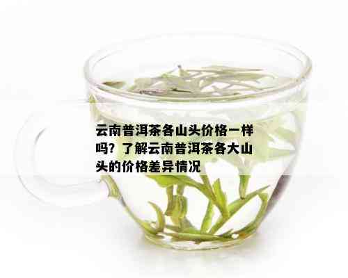 云南普洱茶各山头价格一样吗？了解云南普洱茶各大山头的价格差异情况