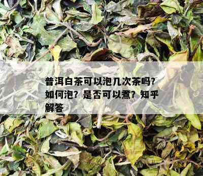 普洱白茶可以泡几次茶吗？如何泡？是否可以煮？知乎解答