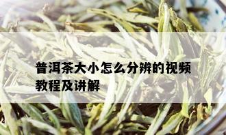 普洱茶大小怎么分辨的视频教程及讲解