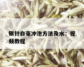 银针白毫冲泡方法及水：视频教程