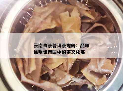 云南白茶普洱茶蝶舞：品味昆明世博园中的茶文化宴