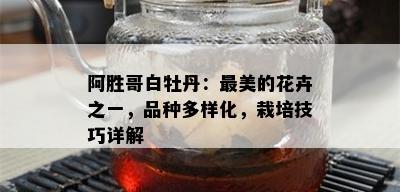 阿胜哥白牡丹：最美的花卉之一，品种多样化，栽培技巧详解