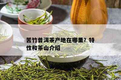 苦竹普洱茶产地在哪里？特性和茶山介绍