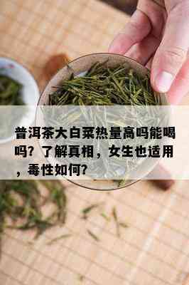 普洱茶大白菜热量高吗能喝吗？了解真相，女生也适用，性如何？