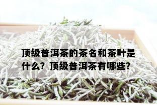 顶级普洱茶的茶名和茶叶是什么？顶级普洱茶有哪些？