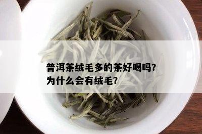 普洱茶绒毛多的茶好喝吗？为什么会有绒毛？