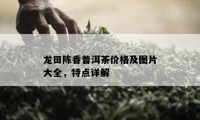 龙田陈香普洱茶价格及图片大全，特点详解