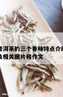 普洱茶的三个香味特点介绍及相关图片和作文