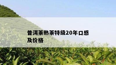 普洱茶熟茶特级20年口感及价格