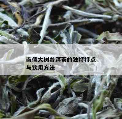 南儒大树普洱茶的独特特点与饮用方法