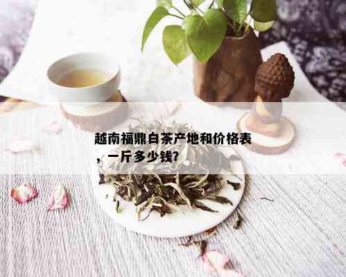 越南福鼎白茶产地和价格表，一斤多少钱？